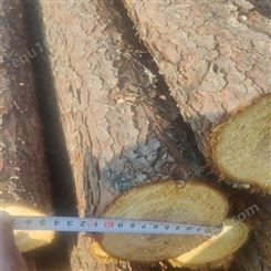 亿展木业 杉木桩 多种规格可定制 水利工程防汛